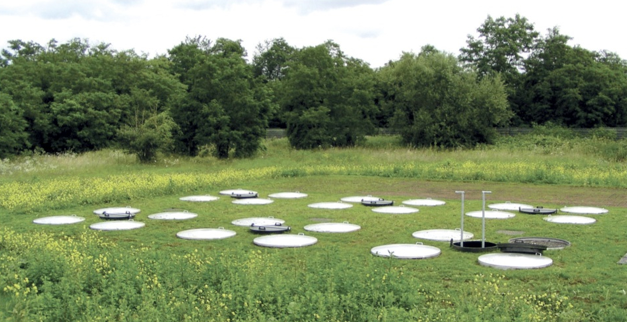 5e132b64998aa.png 54.png