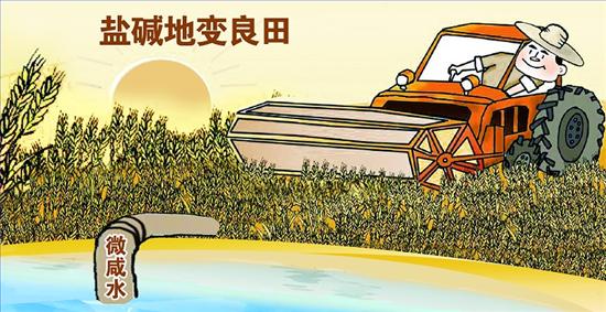 5e3ccfc1e42c6.jpg 20161116232309_28213.jpg