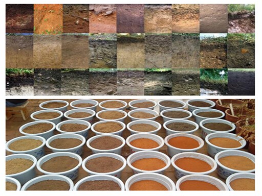 5e3cd1859ed9e.jpg 20161116232634_32051.jpg