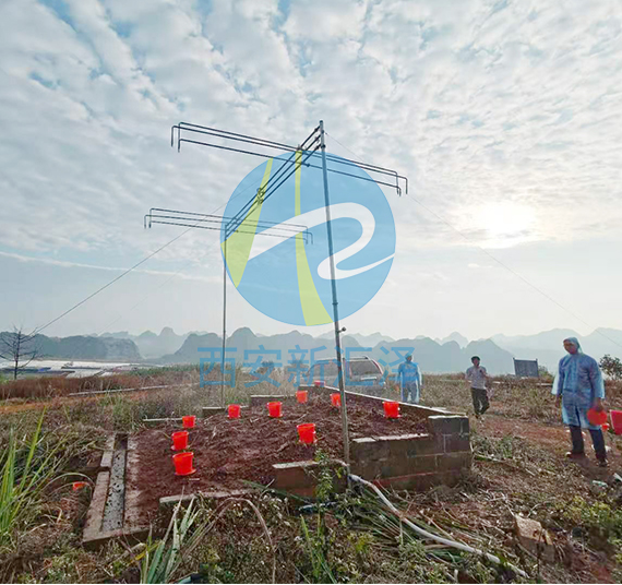 6010d80243edb.jpg 15.jpg